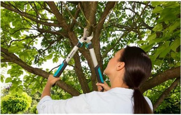 Ψαλίδι Κλάδέματος Gardena EasyCut 500B - 42mm
