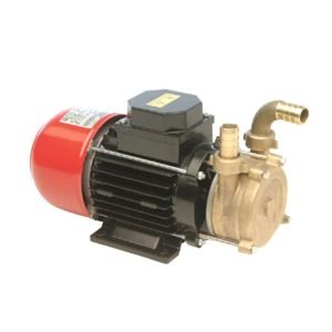 1697434035YsIoexvU jpg