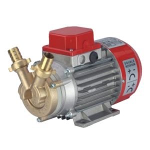 16975391911I64p0y5 jpg