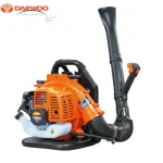 Daewoo DAEBV300