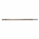 Axonas tetragonos kefalis KPP 1883